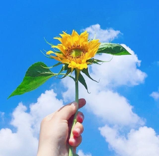 痛苦的决定后悔句子1