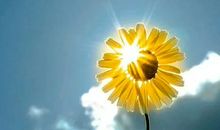 2021唯美文案短句 好听干净的唯美文案