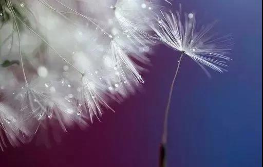 对朋友表示感谢