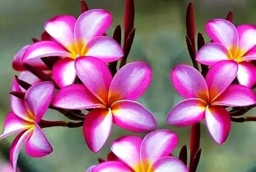 等到身体崩溃，后悔句子2