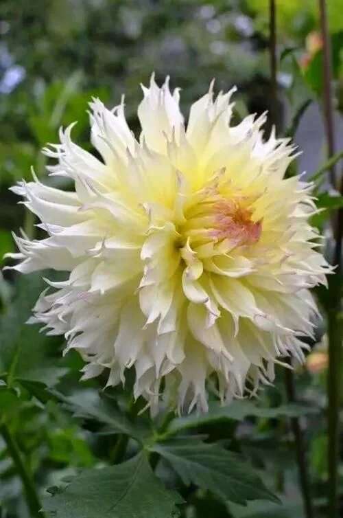 等到身体崩溃，后悔一句话