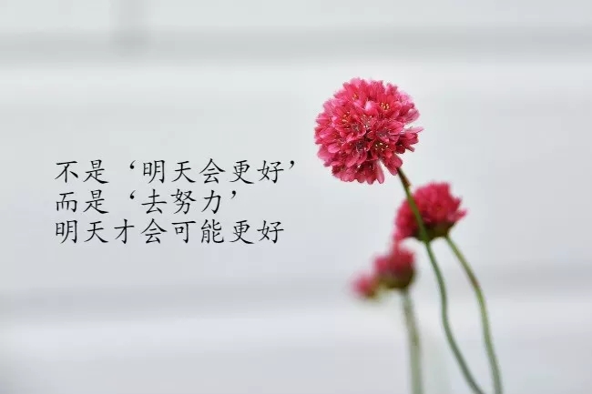 温柔和鼓舞人心的句子