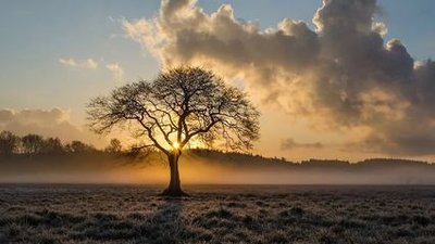 有趣有趣的个性签名1