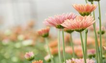 唯美的人生感叹句子