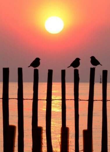 用来形容开心笑的人的句子