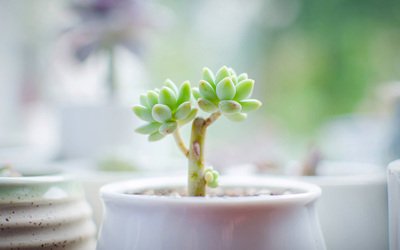 悲伤也是一种美