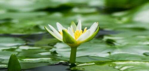 关于遗憾的一句话