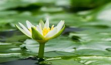 一个关于后悔的句子