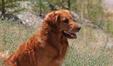 形容定要人后悔的句子