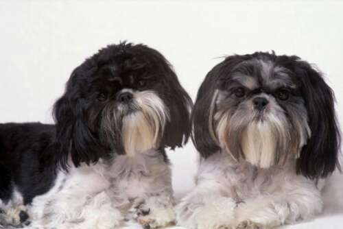 当您后悔时，句子会迟到2