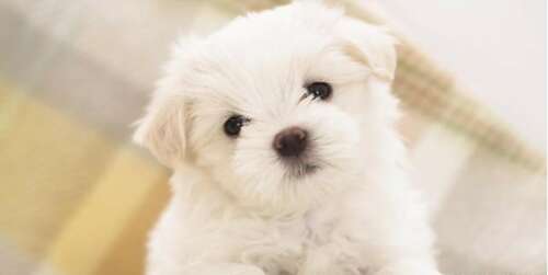 当你后悔时的句子会迟到1