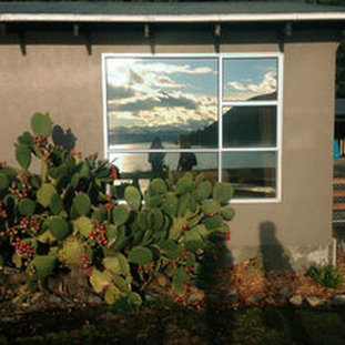 如果为之奋斗我不会后悔的1