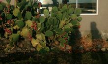 后悔选错结婚对象句子