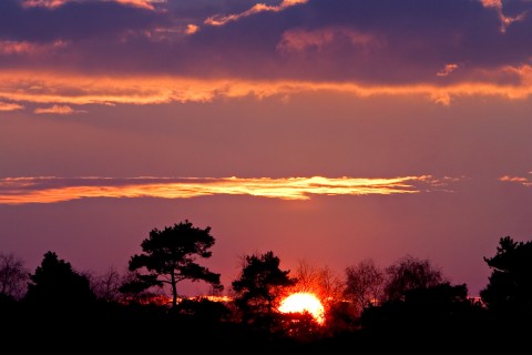 难过的遗憾句子2