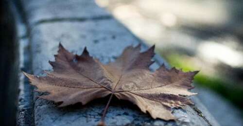 使别人后悔的句子