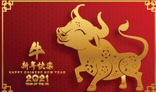 适合2021年发朋友圈的本命年文案