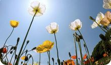 阳光向上有朝气的说说