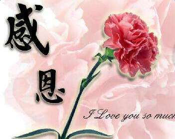 谢谢别人的帮助