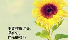 励志说说致自己八个字