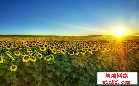 描写早晨太阳的诗