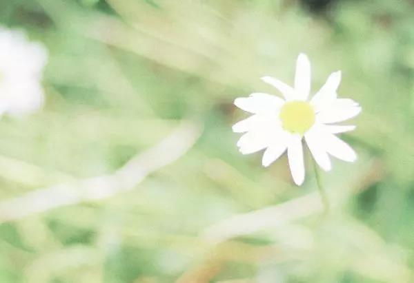 简单大气的吐司谈2