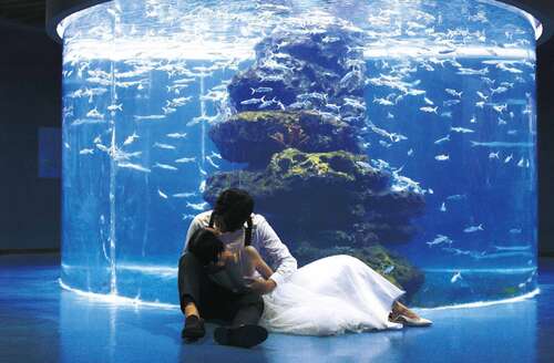 描述幸福的审美句子