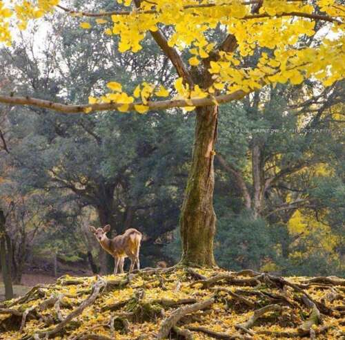 鼓励他人开心的幽默句子2