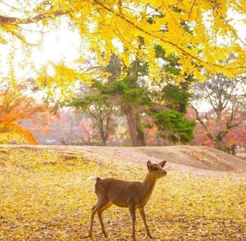 鼓励他人快乐的幽默句子1