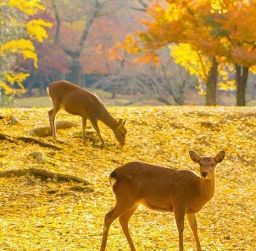 幽默的句子鼓励他人快乐