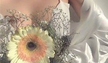 给喜欢的女孩子表白的句子