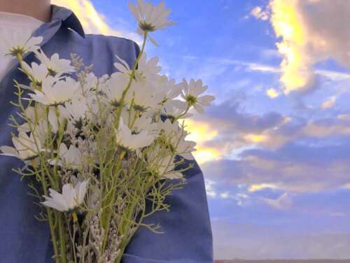 一目了然的文案，超柔和的童话般的句子