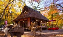 希望朋友开心快乐的句子