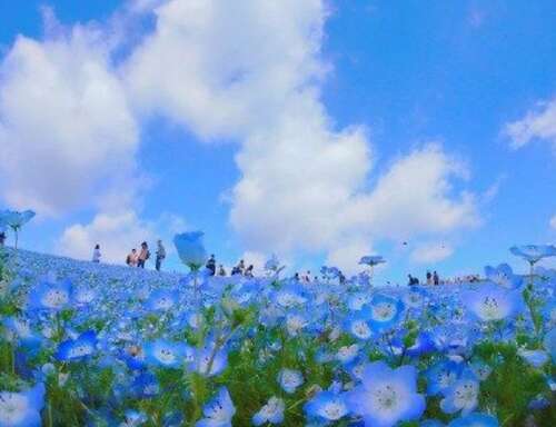 人生苦短才能幸福