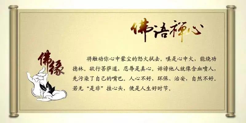 一日禅宗经典语录