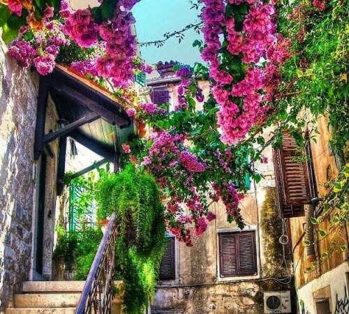 快乐而有意义的句子