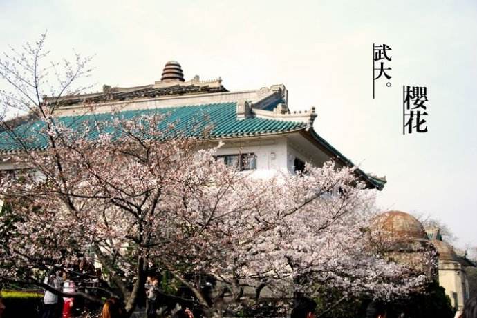 流行结束后，豆阴非常热衷于文案写作