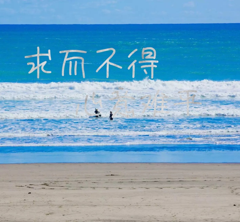 关于人生的句子