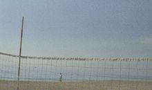 每天都很开心的句子