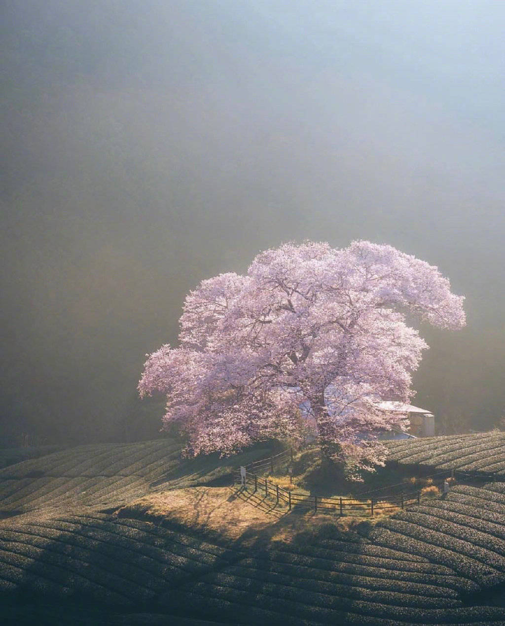 生活使人感到无能为力1