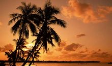 抗击疫情病毒的句子