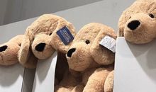 表示很开心的英文句子