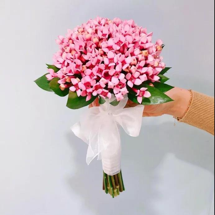 一生无悔地进入中国的经典句子