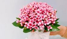 此生无悔入华夏的经典句子