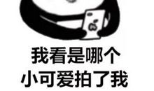 微信拍一拍搞笑后缀可爱