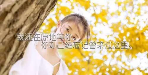 失落和绝望的情绪短语1