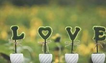 土味情话大全撩妹