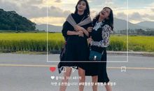 表达今天很开心的句子