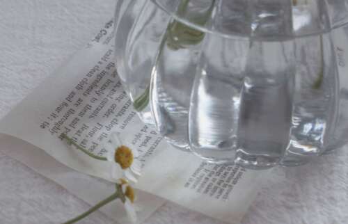 超级温柔的童话句子文案短句清洁和治愈2