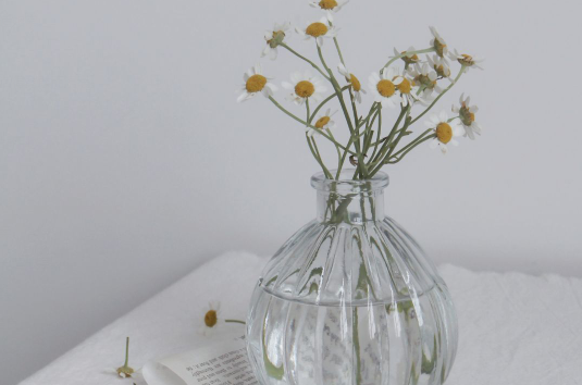 超级温柔的童话句子文案短句干净治愈