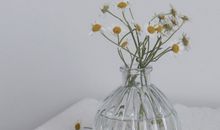 超级温柔的神仙句子 文案短句干净治愈